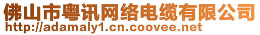 佛山市粵訊網(wǎng)絡電纜有限公司