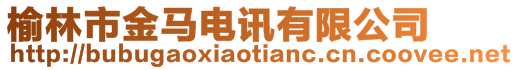 榆林市金馬電訊有限公司