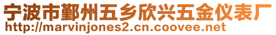 寧波市鄞州五鄉(xiāng)欣興五金儀表廠