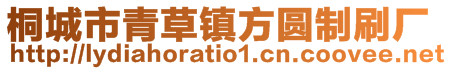 桐城市青草鎮(zhèn)方圓制刷廠