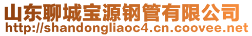 山东聊城宝源钢管有限公司