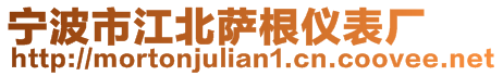 宁波市江北萨根仪表厂