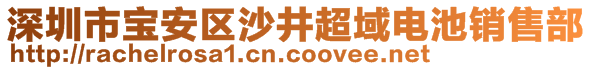 深圳市寶安區(qū)沙井超域電池銷售部