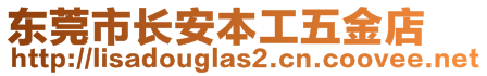 东莞市长安本工五金店