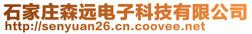 石家庄森远电子科技有限公司