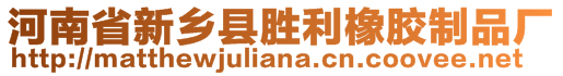 河南省新鄉(xiāng)縣勝利橡膠制品廠