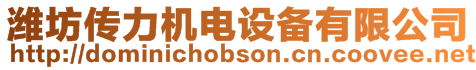 濰坊傳力機電設備有限公司