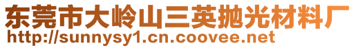 東莞市大嶺山三英拋光材料廠