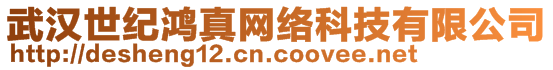武漢世紀鴻真網絡科技有限公司