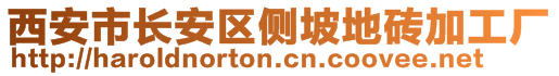 西安市長安區(qū)側坡地磚加工廠