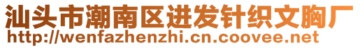 汕頭市潮南區(qū)進(jìn)發(fā)針織文胸廠