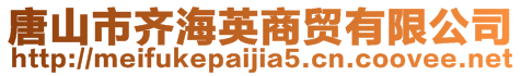 唐山市齊海英商貿有限公司