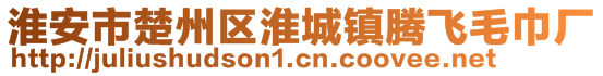 淮安市楚州區(qū)淮城鎮(zhèn)騰飛毛巾廠