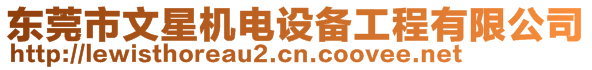 東莞市文星機(jī)電設(shè)備工程有限公司