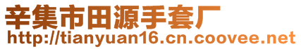 辛集市田源手套厂