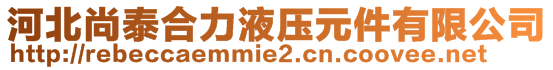 河北尚泰合力液壓元件有限公司