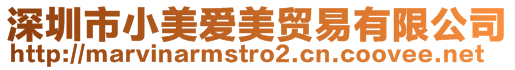 深圳市小美愛美貿易有限公司