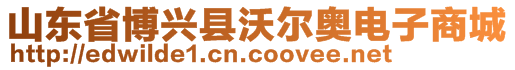 山東省博興縣沃爾奧電子商城