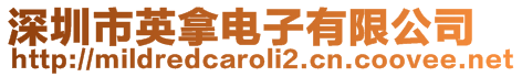 深圳市英拿電子有限公司