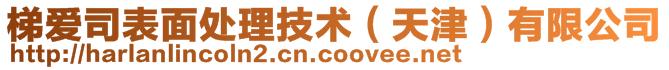 梯愛司表面處理技術（天津）有限公司