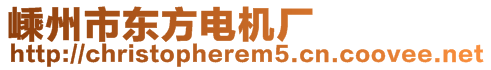 嵊州市東方電機廠