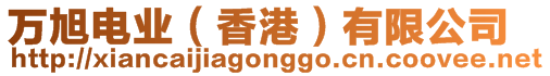 萬(wàn)旭電業(yè)（香港）有限公司