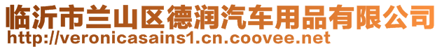 臨沂市蘭山區德潤汽車用品有限公司