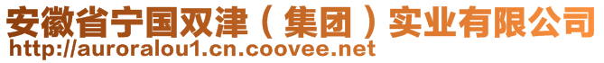 安徽省寧國雙津（集團(tuán)）實(shí)業(yè)有限公司