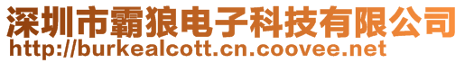 深圳市霸狼電子科技有限公司