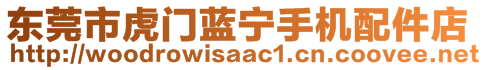 東莞市虎門藍(lán)寧手機(jī)配件店