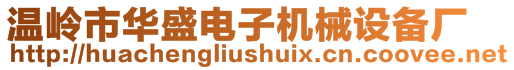 溫嶺市華盛電子機(jī)械設(shè)備廠