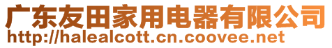 廣東友田家用電器有限公司