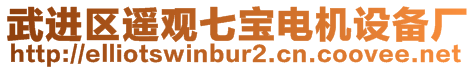 武進(jìn)區(qū)遙觀七寶電機(jī)設(shè)備廠