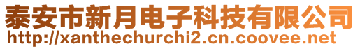 泰安市新月電子科技有限公司