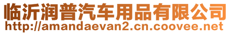 臨沂潤普汽車用品有限公司