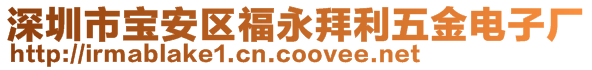 深圳市寶安區(qū)福永拜利五金電子廠