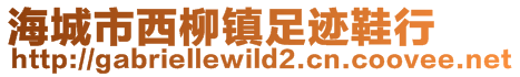 海城市西柳镇足迹鞋行