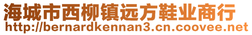 海城市西柳镇远方鞋业商行