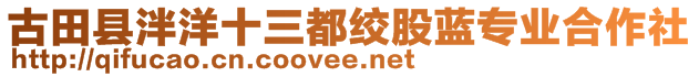 古田縣泮洋十三都絞股藍專業(yè)合作社