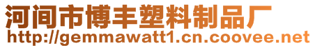 河間市博豐塑料制品廠