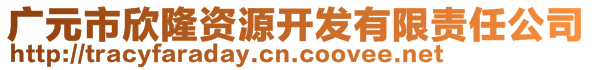 廣元市欣隆資源開發(fā)有限責任公司