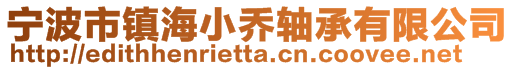 宁波市镇海小乔轴承有限公司