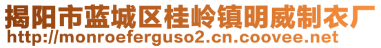 揭陽市藍(lán)城區(qū)桂嶺鎮(zhèn)明威制衣廠