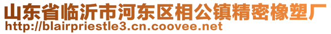 山東省臨沂市河?xùn)|區(qū)相公鎮(zhèn)精密橡塑廠