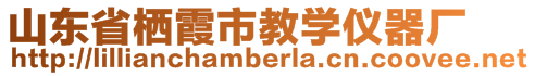 山東省棲霞市教學儀器廠