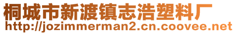 桐城市新渡镇志浩塑料厂