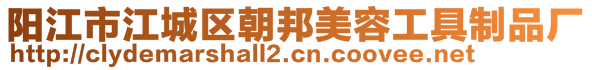 陽江市江城區(qū)朝邦美容工具制品廠