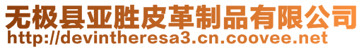 無(wú)極縣亞勝皮革制品有限公司