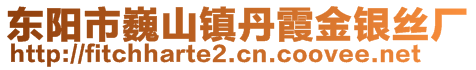 東陽市巍山鎮(zhèn)丹霞金銀絲廠