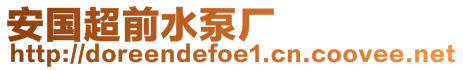 安國(guó)超前水泵廠